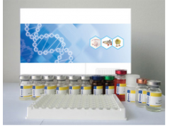 魚睪酮(T)ELISA試劑盒,試劑盒廠家_供應(yīng)產(chǎn)品_上海素爾生物科技