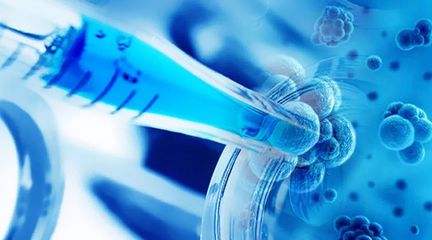 成立三年即赴港上市:基石藥業(yè)成港股IPO新政試金石