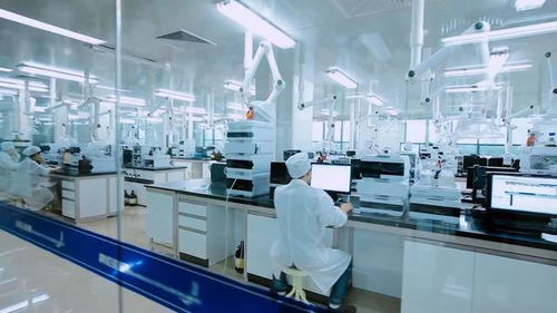 稅惠新型工業(yè)化探秘獨(dú)角獸企業(yè)發(fā)展密碼