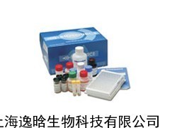 人沙眼衣原體(CT)ELISA試劑盒_供應(yīng)產(chǎn)品_上海逸晗生物科技