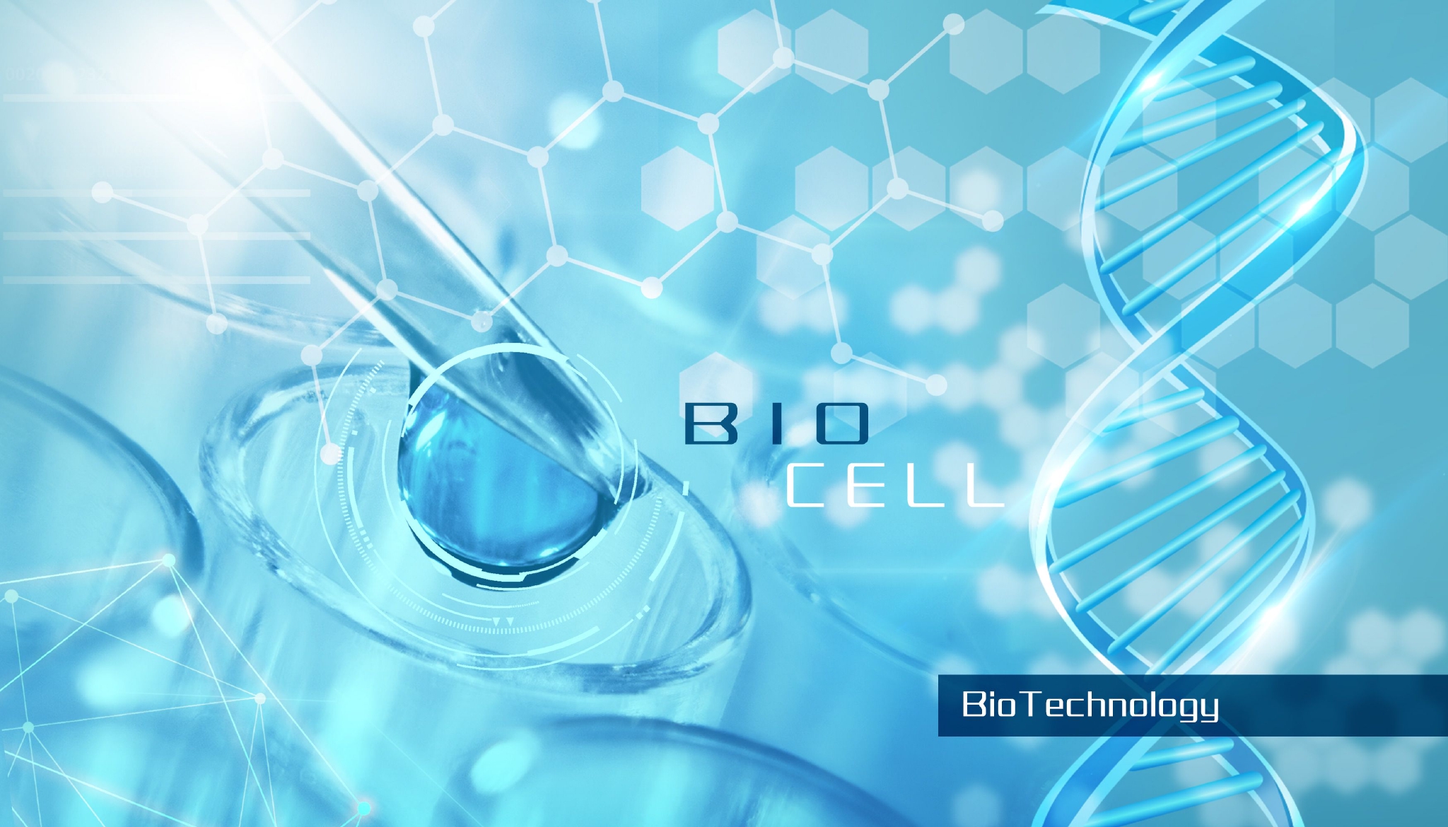 氨基酸&ldquo;大戶&rdquo;首發中報 梅花生物高增長態勢能否延續?