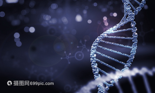 DNA分子高科技DNA分子的生物化學背景