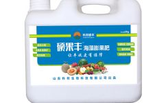 海藻肥,洋蔥海藻肥,藥材海藻肥,海藻肥批發,山東科邦