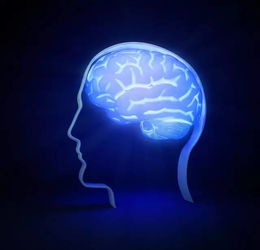 美國生物科技的發展動向 創新管理與軍事潛能 以darpa為例