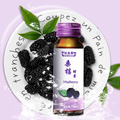 桑葚飲品藥福醫(yī)藥招商