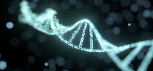 畢馬威首發(fā)生物科技創(chuàng)新50企業(yè)榜單 生物科技賽道角逐升級 滬 杭 京 深位列前四