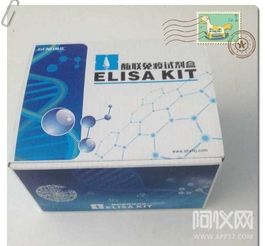 喜訊 南京信帆再次合作阿儀網(wǎng)