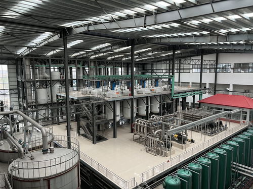 這里有條玉米 黃金 產(chǎn)業(yè)鏈 山東諸城從小玉米中挖出大產(chǎn)業(yè)