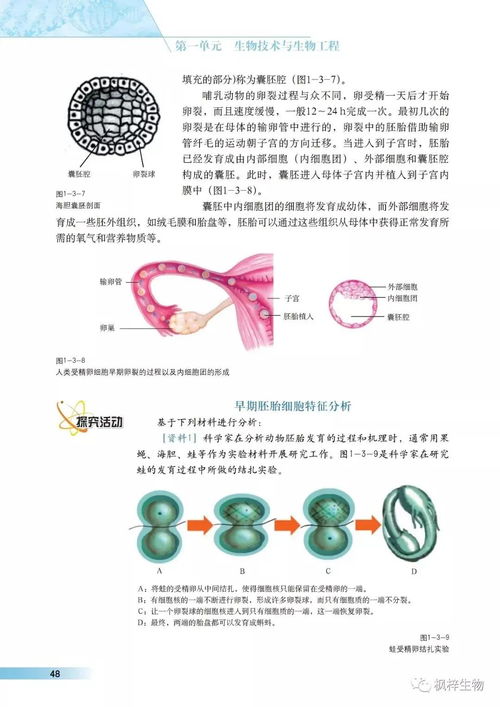 滬科版高中生物選修3 現代生物科技專題 電子課本 高清pdf版