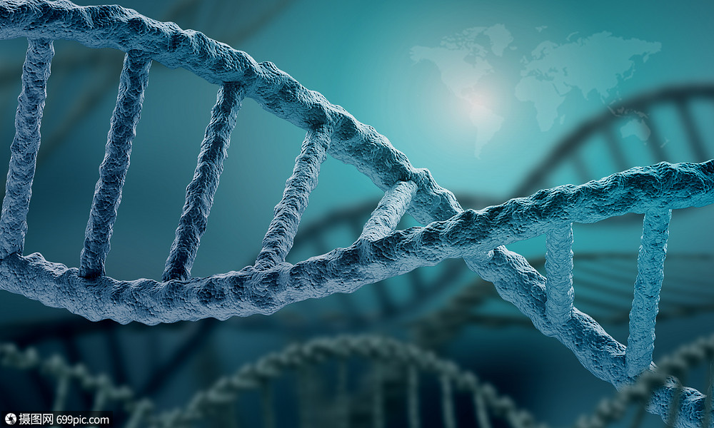 dna分子高科技dna分子的生物化學背景dna原子