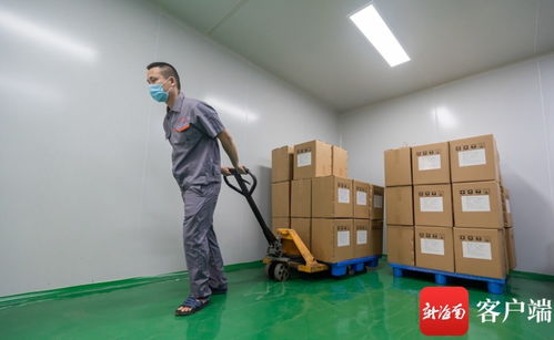 海南自貿港進出口政策試點擴區惠及高端食品制造業與生物科技