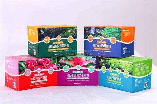 圣地光合作用 安艷科技，為雨林植物注入生命能量